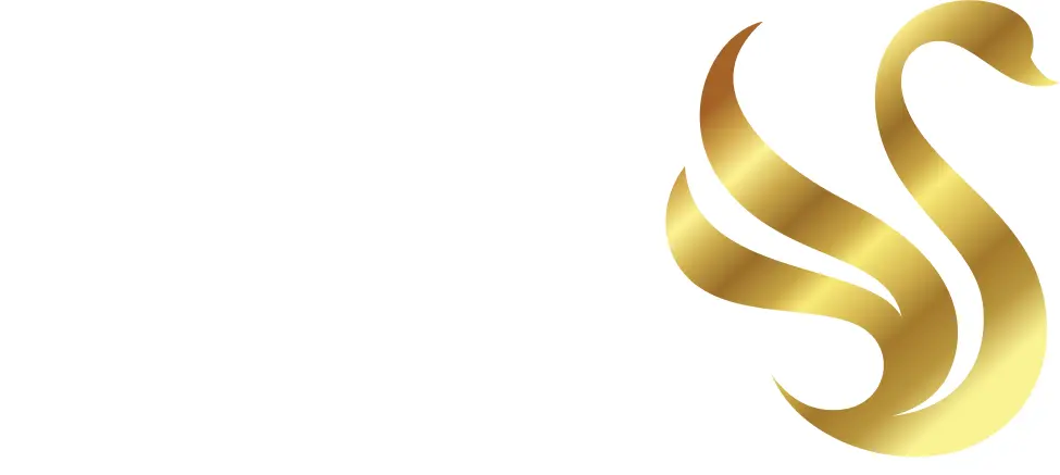 VVIP Group logo